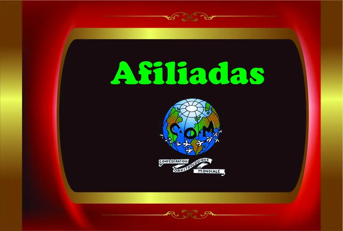 Las Asociaciones y Club´s Afiliadas a La COM-Méxco